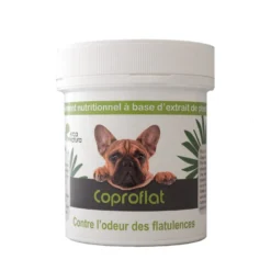 Coproflat chien