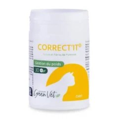 Correct'it Chat