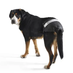 Couches culottes Comfort chien, chiot