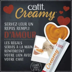 Creamy chat