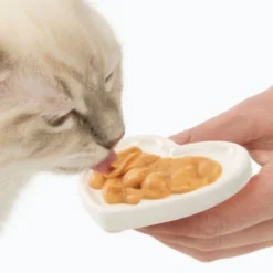 Creamy chat