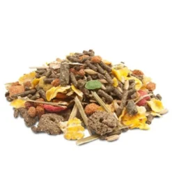 Crispy Muesli cobaye