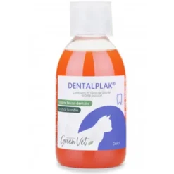 Dentalplack chat