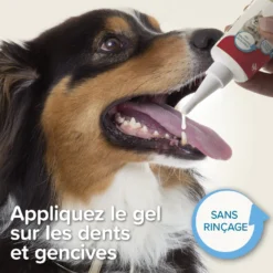 Dentifrice haleine fraîche