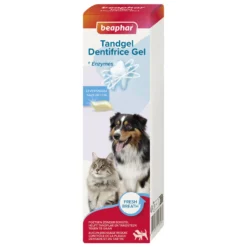 Dentifrice haleine fraîche