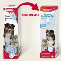 Dentifrice haleine fraîche