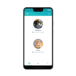 Distributeur d'eau Felaqua Connect chat