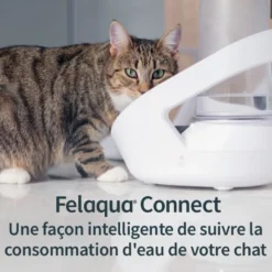 Distributeur d'eau Felaqua Connect chat