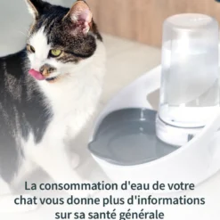 Distributeur d'eau Felaqua Connect chat
