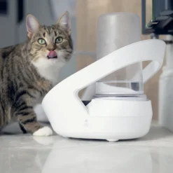Distributeur d'eau Felaqua Connect chat