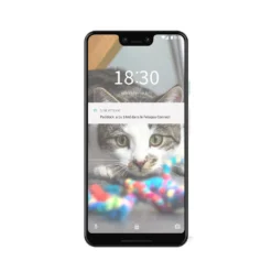 Distributeur d'eau Felaqua Connect chat