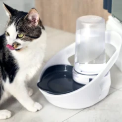 Distributeur d'eau Felaqua Connect chat