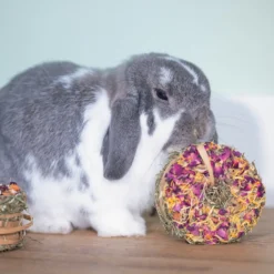 Donut de foin lapin, rongeur