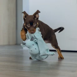 Doudou Dragon chiot