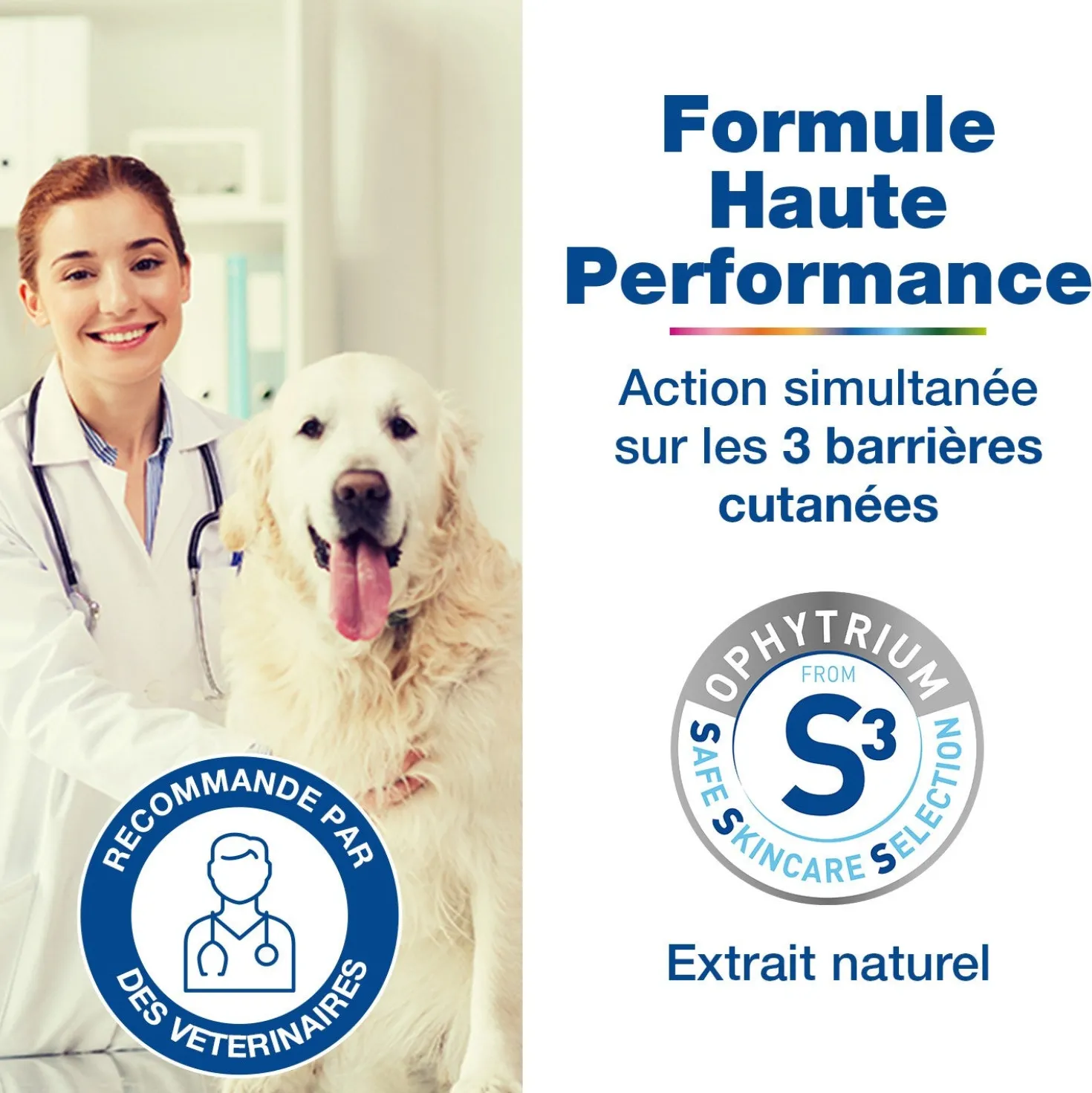 Douxo S3 Care shampooing chien, chat