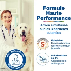 Douxo S3 Pyo shampooing chien, chat