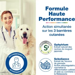 Douxo S3 Seb Soin Mousse