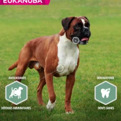 Eukanuba Daily Care Sensitive Joints - croquettes chien