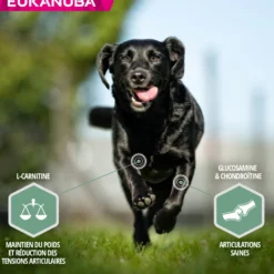 Eukanuba Daily Care Sensitive Joints - croquettes chien