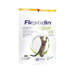 Flexadin Advanced chat
