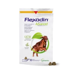 Flexadin Advanced chien