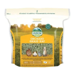 Foin Orchard Grass rongeur