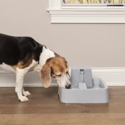 Fontaine Drinkwell PWW19 chat, chien