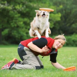 FRISBEE DOG DISC