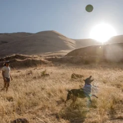 Frisbee Hover Craft™