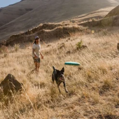 Frisbee Hover Craft™