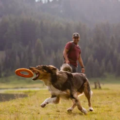 Frisbee Hydro Plane™ chien