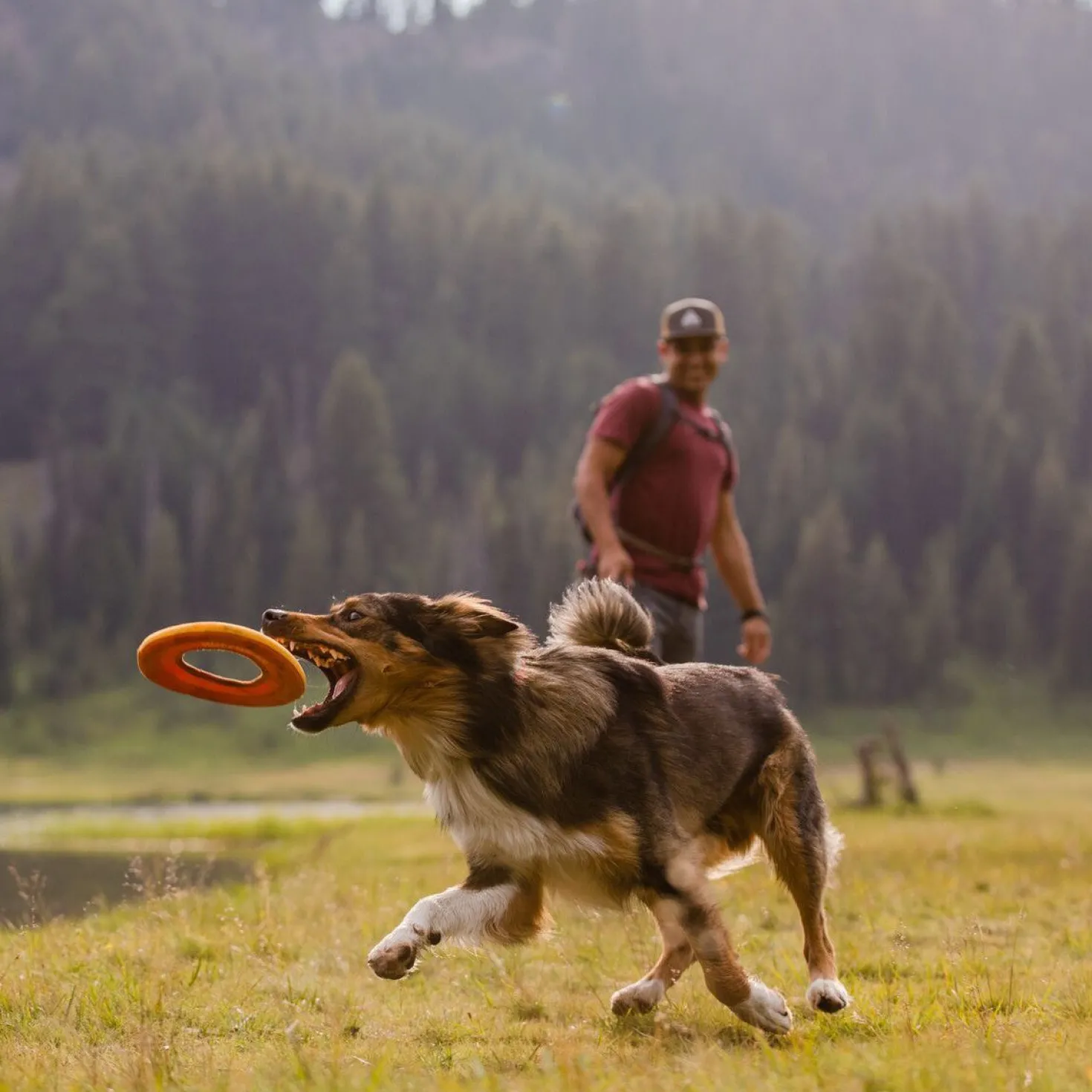 Frisbee Hydro Plane™ chien