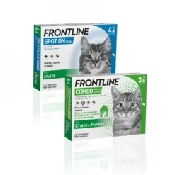 Frontline Combo chat