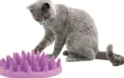 Gamelle anti-glouton avec Picots pour chat