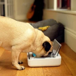 Gamelle hermétique chien, chat