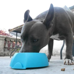 Gamelle Made in France chien