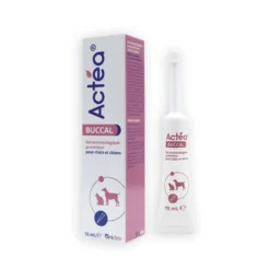 Gel Actéa® Buccal chien, chat