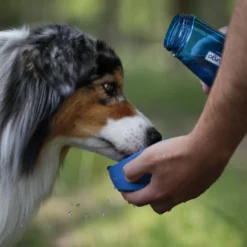 Gourde Bottle & Bowl chien