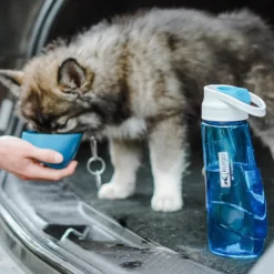 Gourde Bottle & Bowl chien