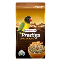 Grandes Perruches African