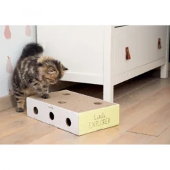 Griffoir Riva chat