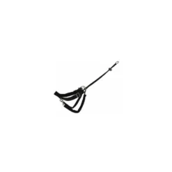 Harnais anti-traction chien