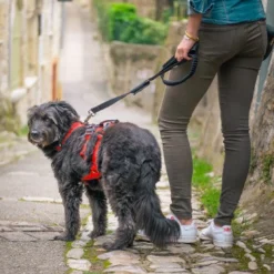 Harnais Confort Trek chien