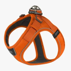 Harnais Confort Walk Go Orange chien