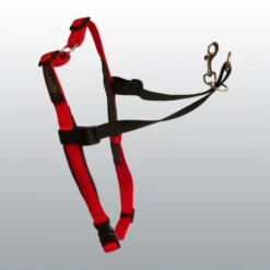 Harnais d'éducation Halti rouge et noir pour chien