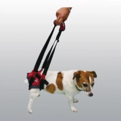 Harnais de maintien handy canis