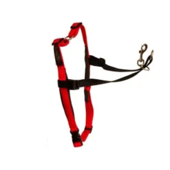 Harnais de poitrail Halti chien