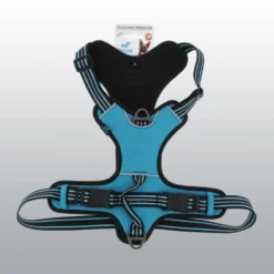 Harnais Dynamic coloré pour chien