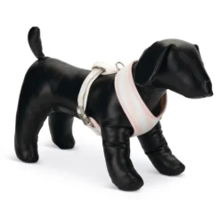 Harnais Filana chien, chiot