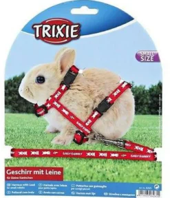 Harnais & laisse petit lapin
